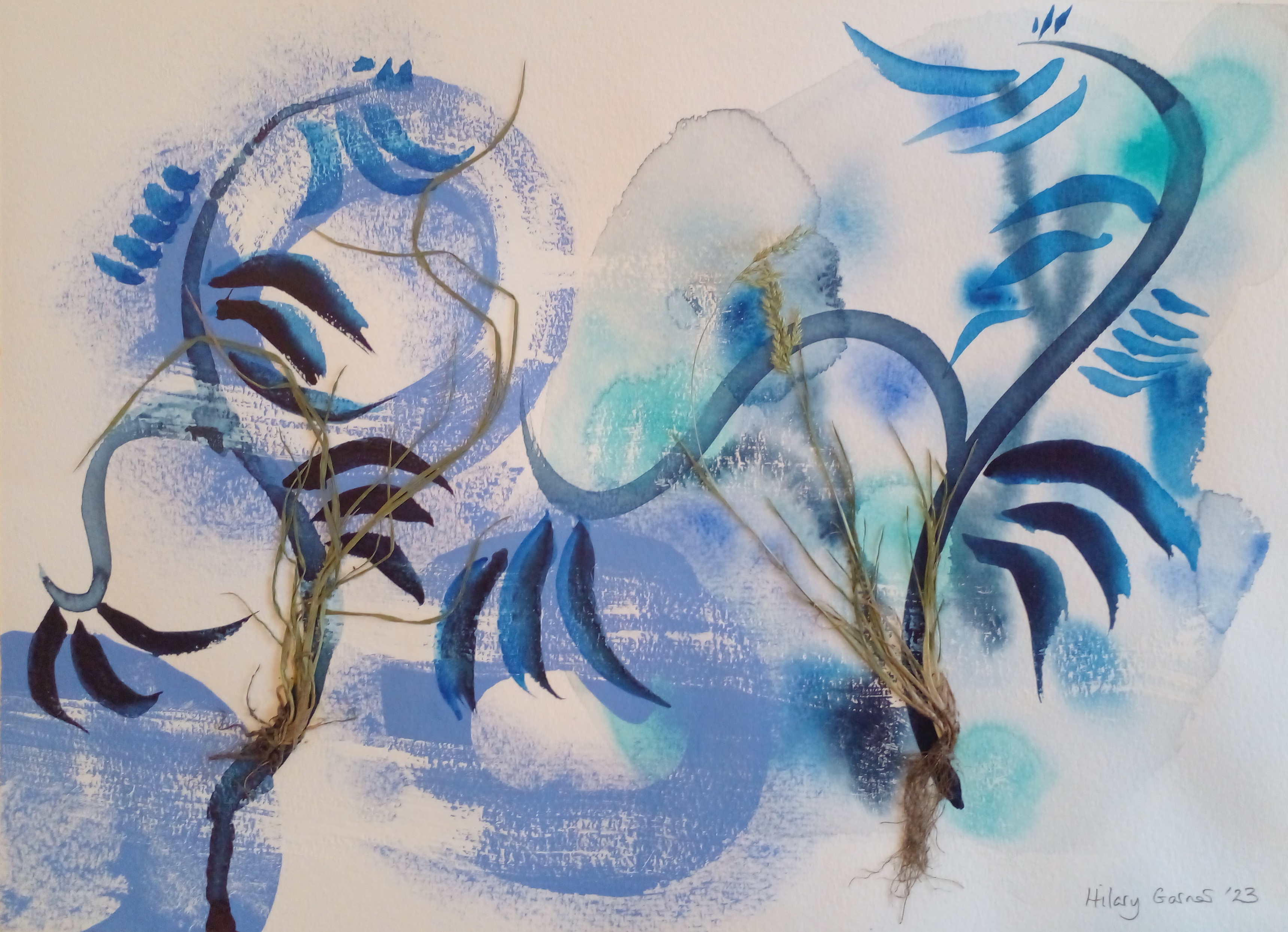 Grass IV